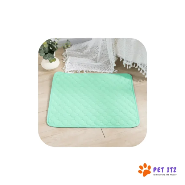 Reusable Dog Pee Pad green color