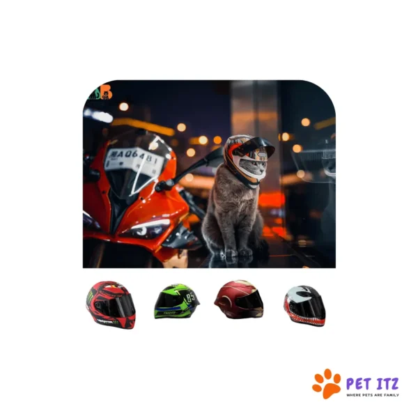 Bike Helmet For Cats & Dogs