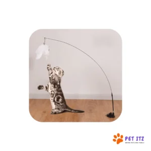 Interactive Cat Toy