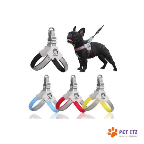 Y Harness For Dogs