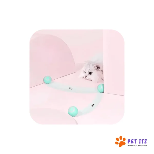 Chargeable Rolling Pet Ball Toy