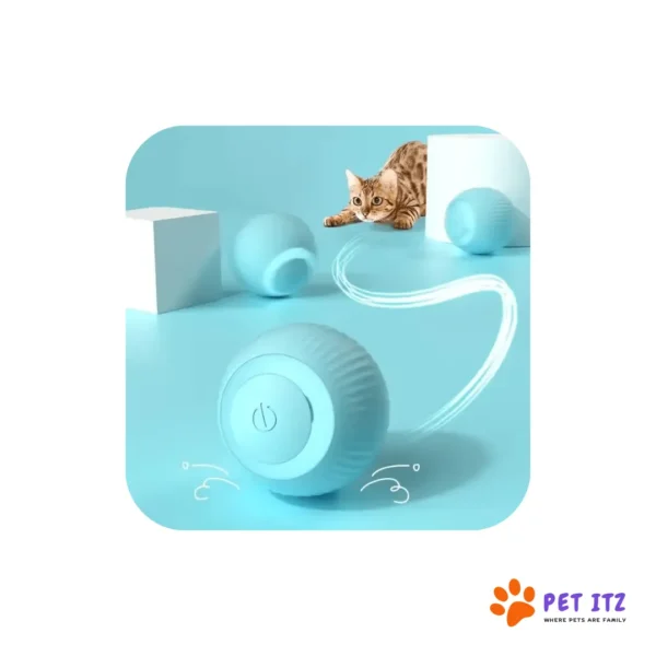 Chargeable Rolling Pet Ball Toy