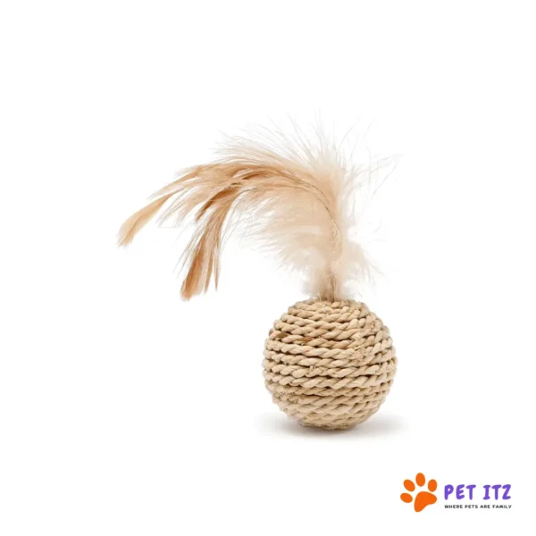 Interactive Rat Ball Cat Toy