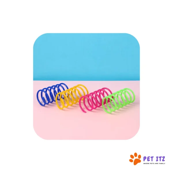 Interactive Spiral Spring Cat Toy