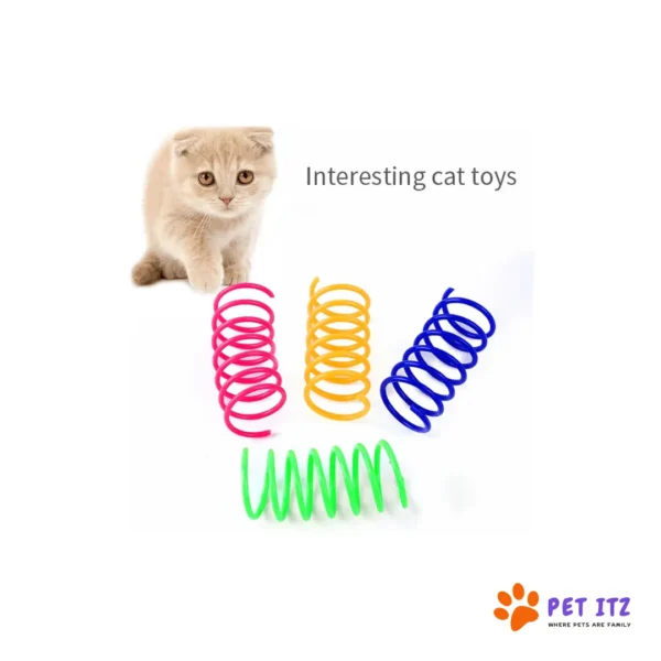 Interactive Spiral Spring Cat Toy