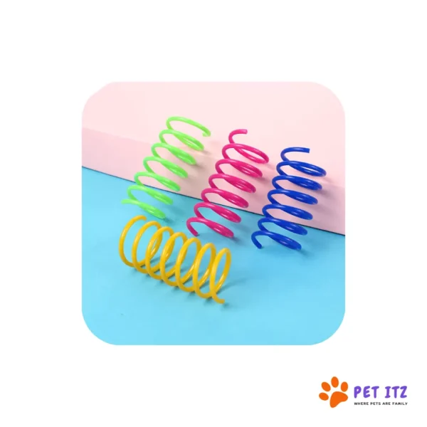 Interactive Spiral Spring Cat Toy